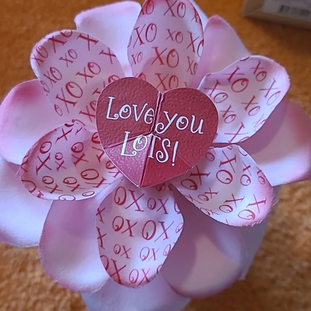 Hallmark Blooming Expressions Pink and White Flower